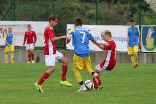 MILAN SPORTS中国站-突尼斯希望进攻套路单一，被对手识破，突尼斯是啥意思