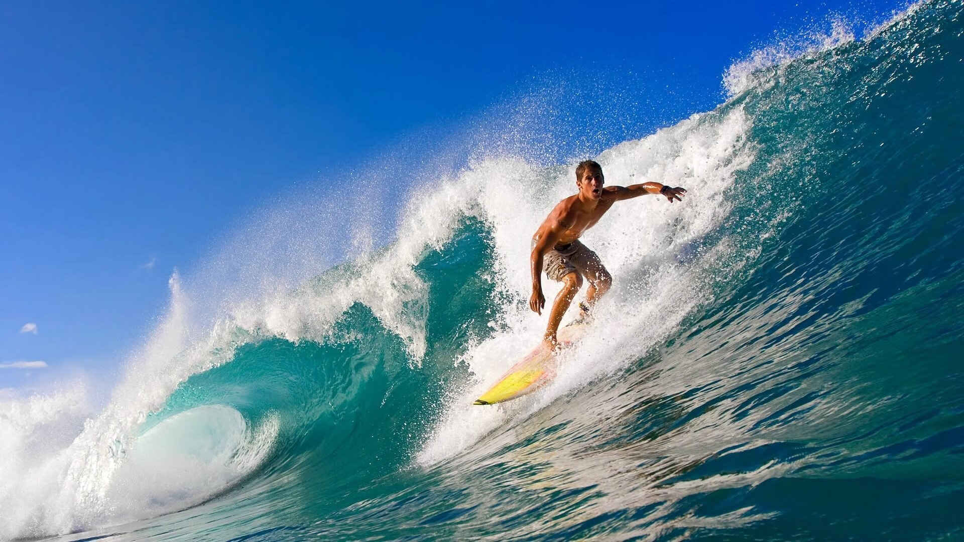 五大联赛主场草皮质量标准化进展明显,顶级足球场真草草皮费用